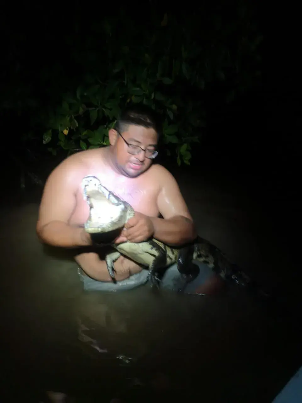 Guía sosteniendo cocodrilo en el agua