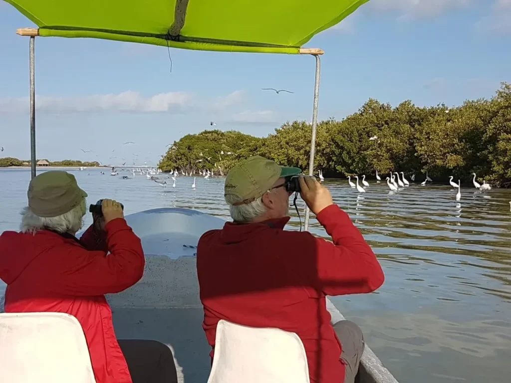 Birdwatching Tour