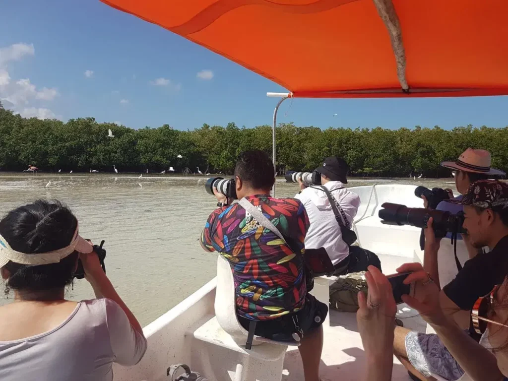 Photography Tour